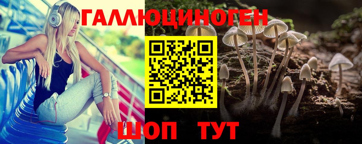 Галлюциногенные грибы Psilocybine cubensis Копейск