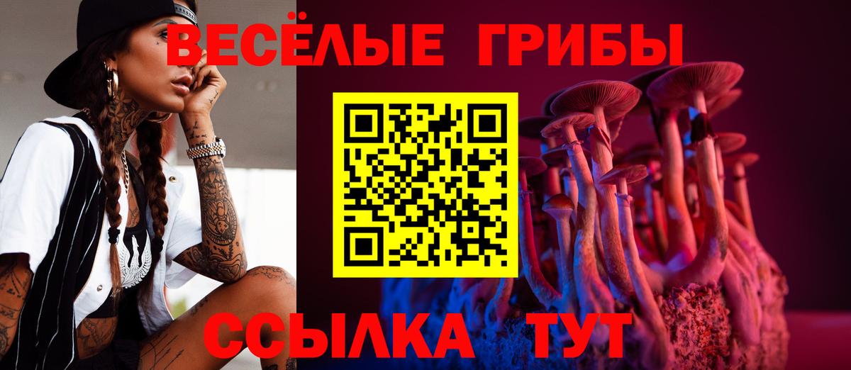 Копейск  Галлюциногенные грибы Psilocybine cubensis  Вход с VPN 